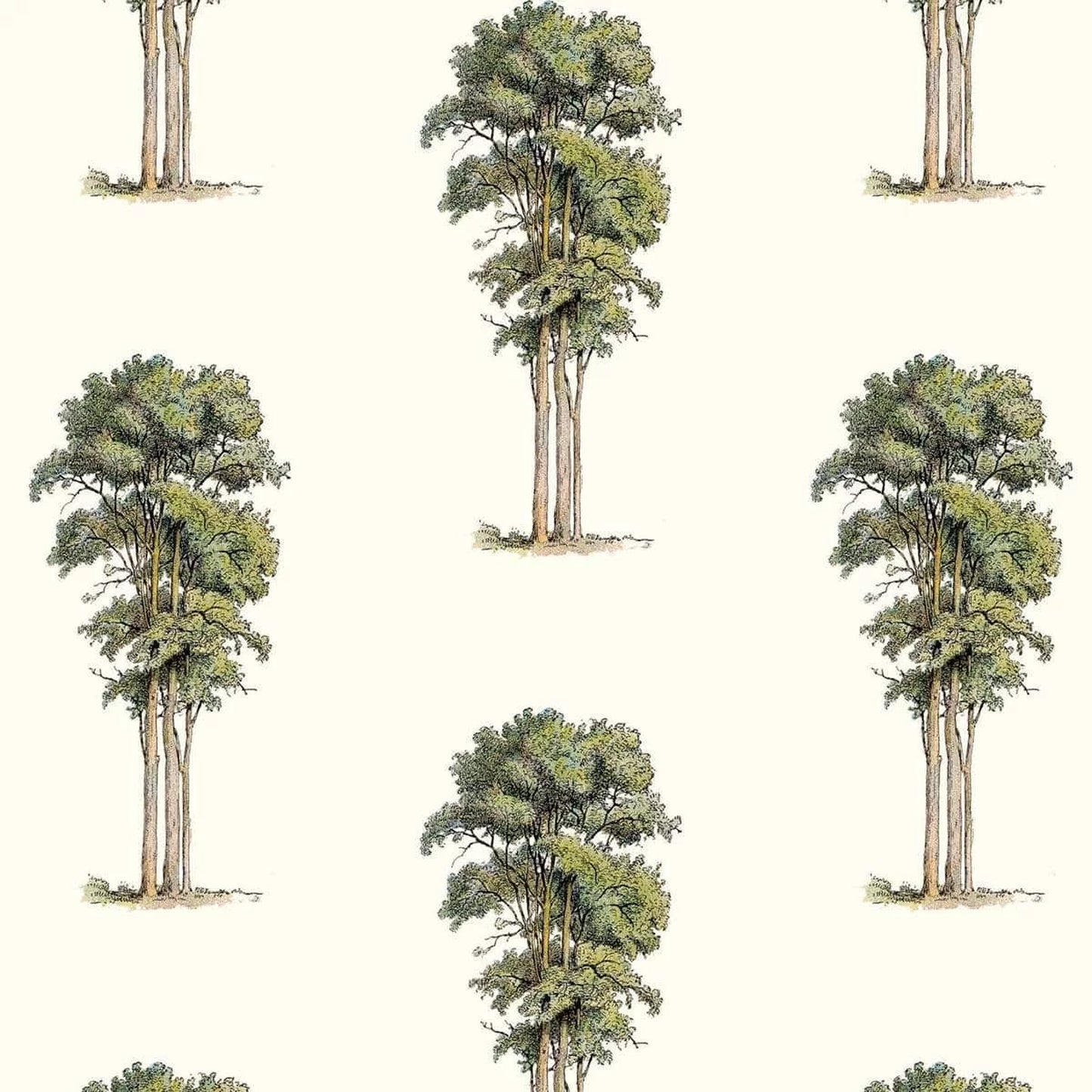“Towering Trees” Wallpaper | WP 179