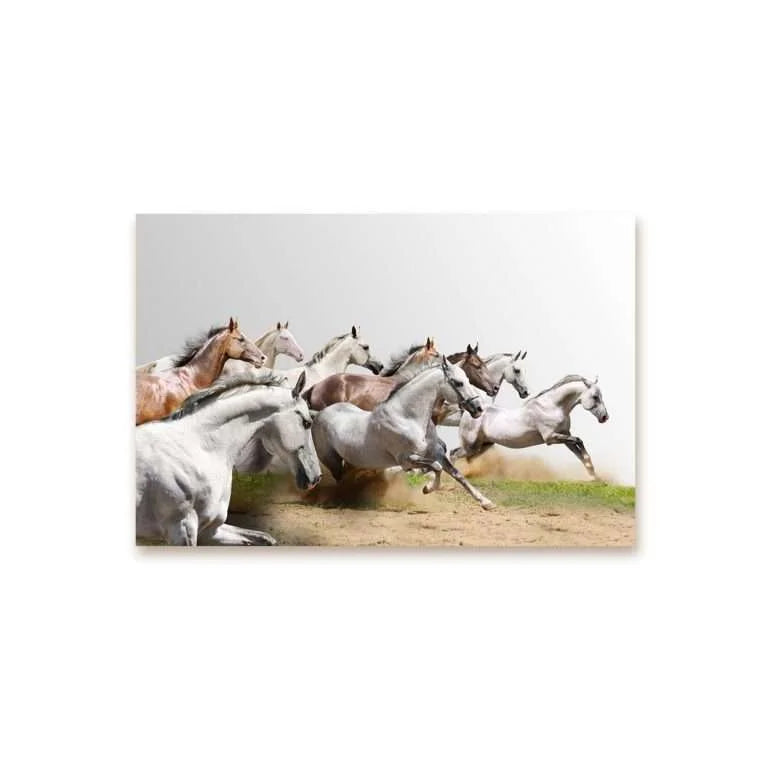 Running Horses Canvas | ART 073