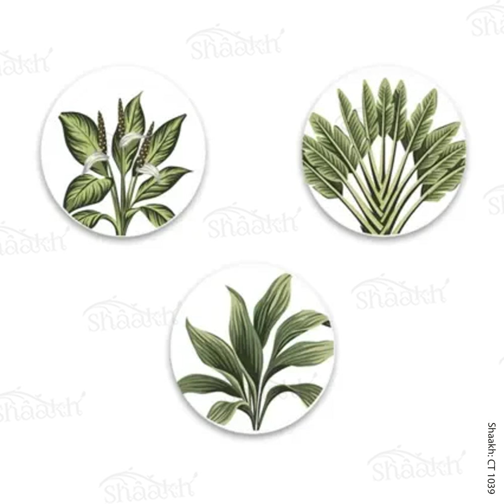 Botanical Coasters | CT 1039