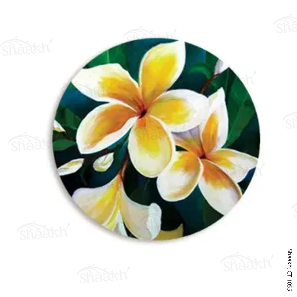 White Plumeria Coasters | CT 1055