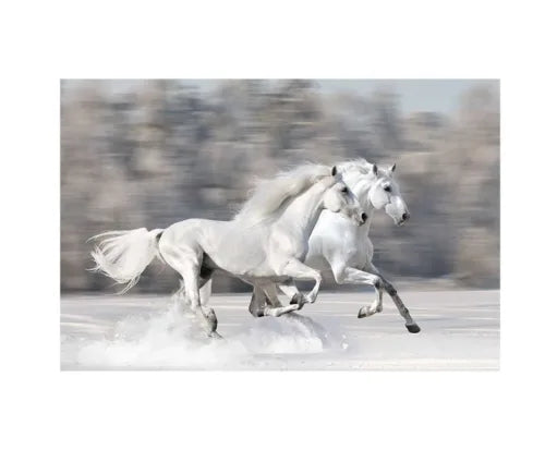 The Running Horses Canvas