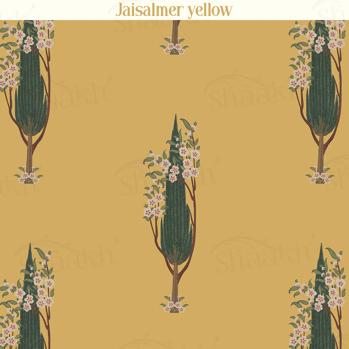Cypress Serenity Wallpaper | WP 240