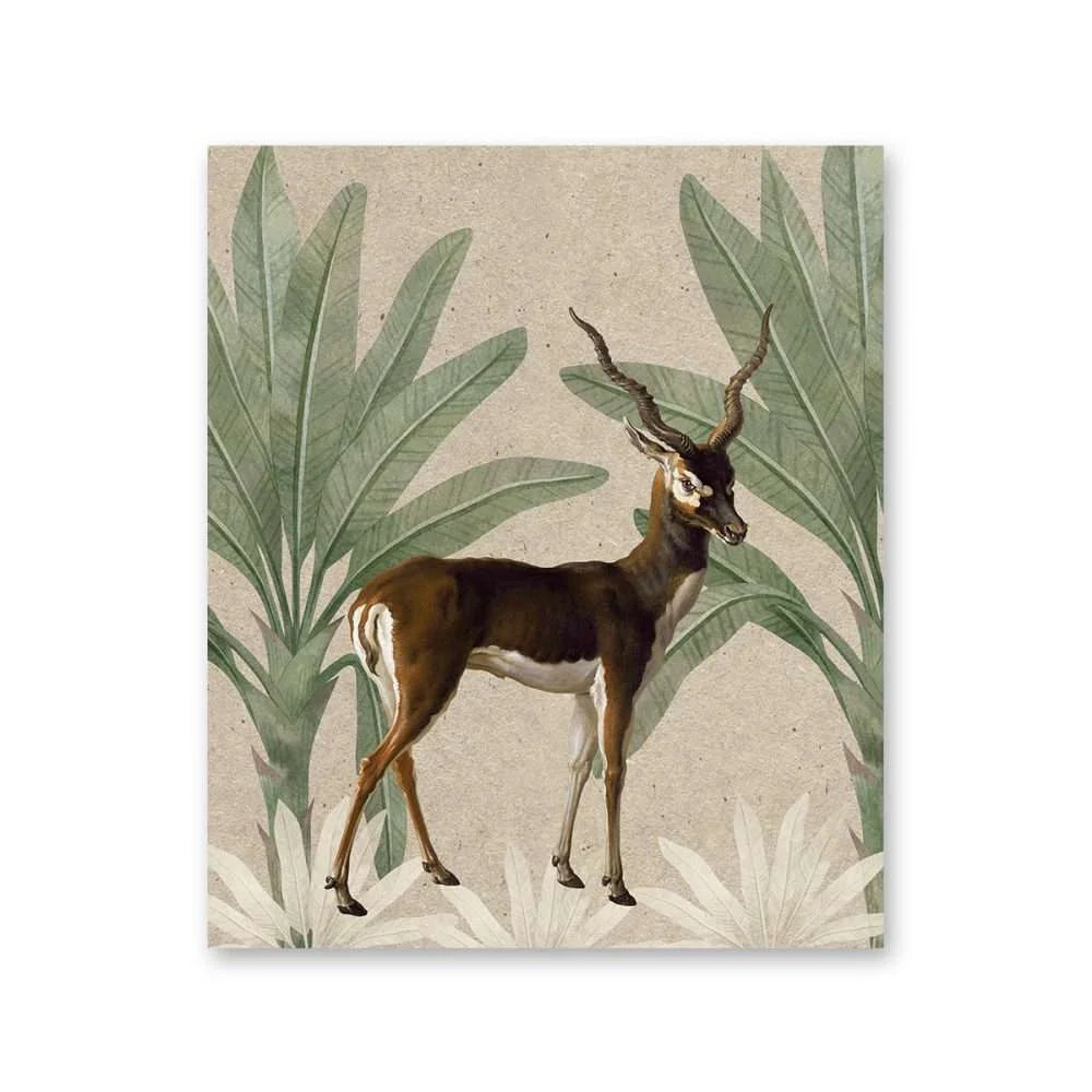 The Black Buck