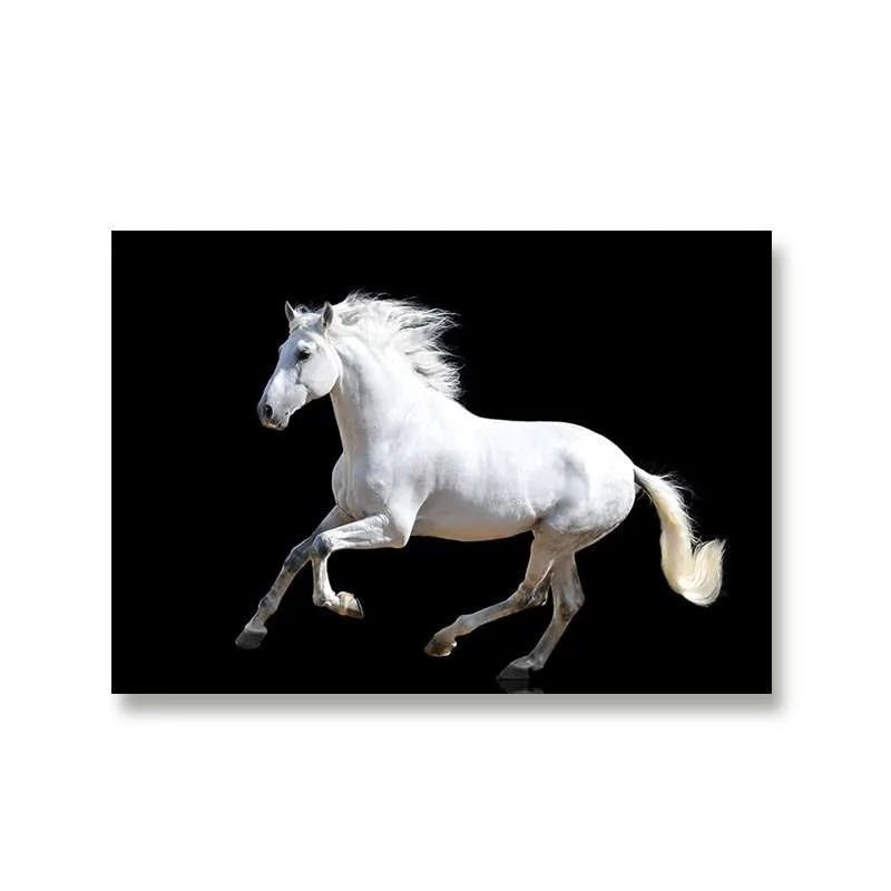 Running Horse Wall Art