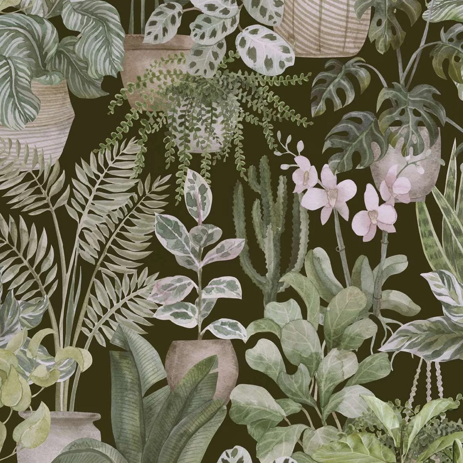 Botanical Wallpapers – Page 2 – Shaakh