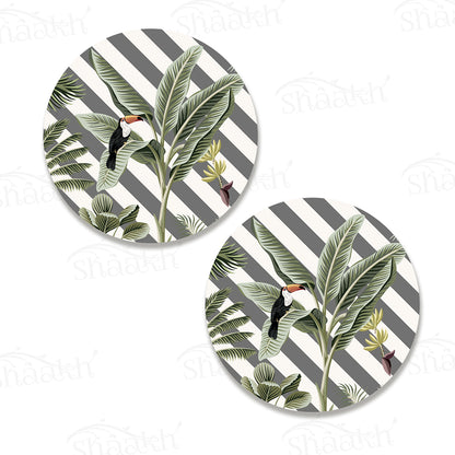 Evergreen Tropical Coasters | CT 1140