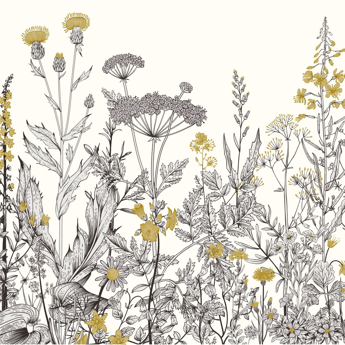 Wild Flowers — abstract design wallpaper by Shaakh, handcrafted in India