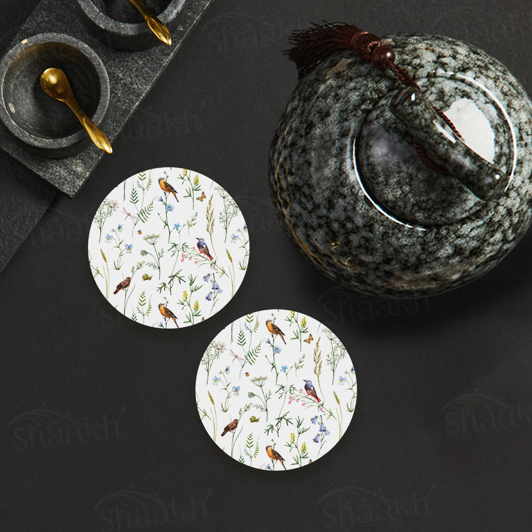 Chirping Around Coasters | CT 1003