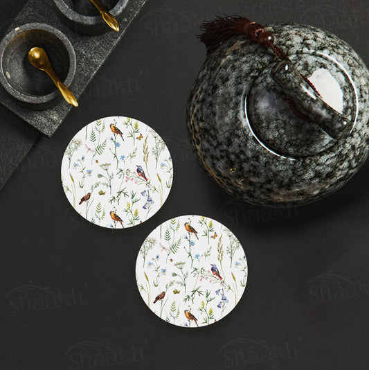 Chirping Around Coasters | CT 1003